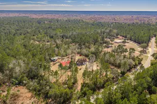 4398 Wilkerson Bluff Rd, Holt, FL 32564 - Photo 96