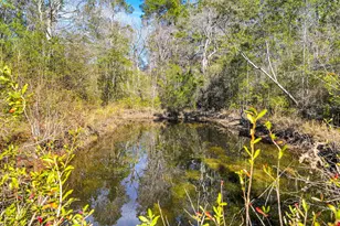 4398 Wilkerson Bluff Rd, Holt, FL 32564 - Photo 78