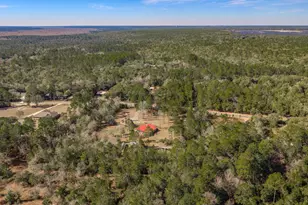 4398 Wilkerson Bluff Rd, Holt, FL 32564 - Photo 104