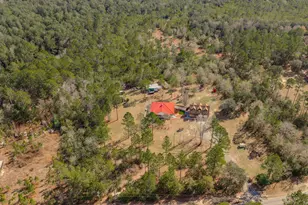 4398 Wilkerson Bluff Rd, Holt, FL 32564 - Photo 100