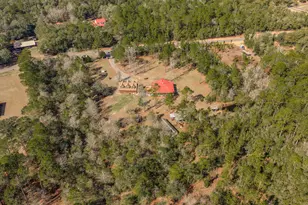 4398 Wilkerson Bluff Rd, Holt, FL 32564 - Photo 102