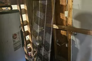 1155 Mulberry Ave, Panama City, FL 32401 - Photo 4