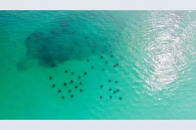 50 Jessica Court, Freeport, FL 32439 - Photo 40