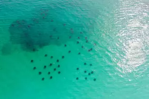 50 Jessica Ct, Freeport, FL 32439 - Photo 40