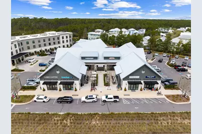 288 Robert Ellis Street, Santa Rosa Beach, FL 32459 - Photo 48