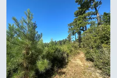 B & D Millside Road, Laurel Hill, FL 32567 - Photo 12