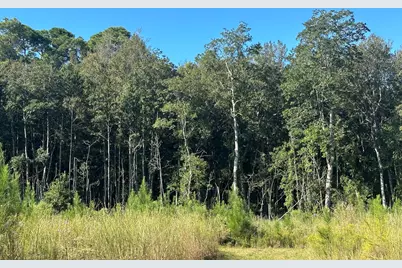 B & D Millside Road, Laurel Hill, FL 32567 - Photo 1