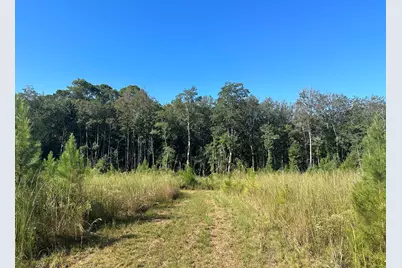 B & D Millside Road, Laurel Hill, FL 32567 - Photo 2