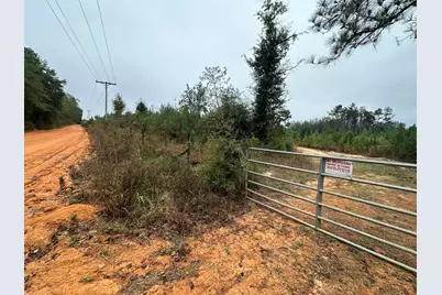 B & D Millside Road, Laurel Hill, FL 32567 - Photo 18