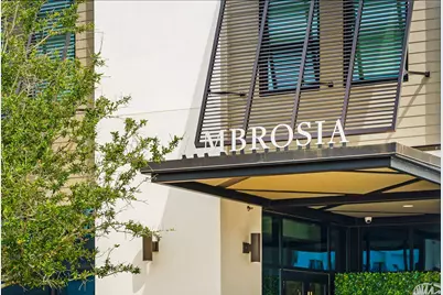 128 Ravine Road, Inlet Beach, FL 32461 - Photo 70