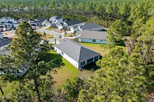 58 Ferndale Ct, Inlet Beach, FL 32461 - Photo 32