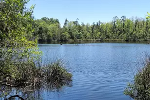 4611 Gunter Rd, Milton, FL 32570 - Photo 2