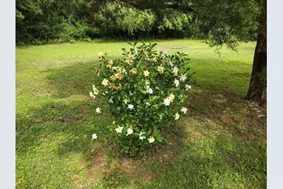 4611 Gunter Road, Milton, FL 32570 - Photo 28