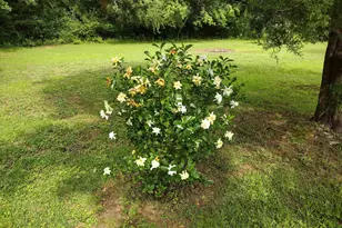 4611 Gunter Rd, Milton, FL 32570 - Photo 28