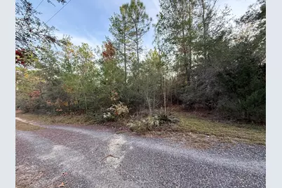 Lots 9-11 Tangerine & Lot 2 Girl Scout, Defuniak Springs, FL 32433 - Photo 6