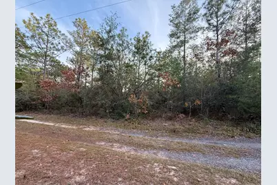 Lots 9-11 Tangerine & Lot 2 Girl Scout, Defuniak Springs, FL 32433 - Photo 2