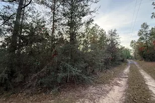 Lots 9-11 Tangerine & Lot 2 Girl Scout, Defuniak Springs, FL 32433 - Photo 8