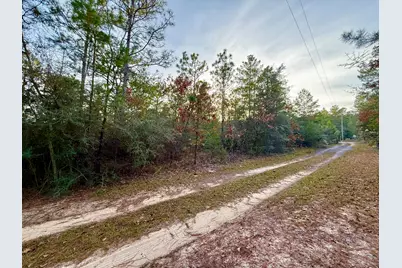 Lots 9-11 Tangerine & Lot 2 Girl Scout, Defuniak Springs, FL 32433 - Photo 4