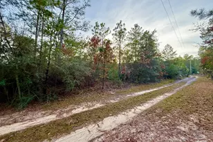 Lots 9-11 Tangerine & Lot 2 Girl Scout, Defuniak Springs, FL 32433 - Photo 4
