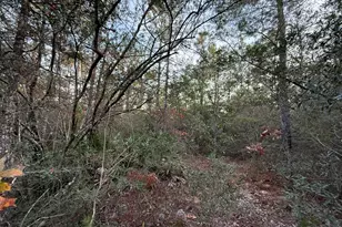 Lots 9-11 Tangerine & Lot 2 Girl Scout, Defuniak Springs, FL 32433 - Photo 10