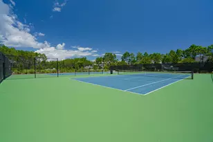 165 Pennekamp Ln, Inlet Beach, FL 32461 - Photo 68