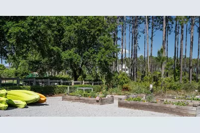 165 Pennekamp Lane, Inlet Beach, FL 32461 - Photo 74