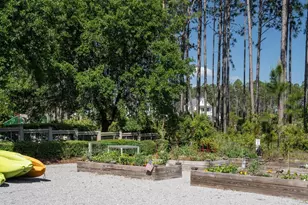 165 Pennekamp Ln, Inlet Beach, FL 32461 - Photo 74