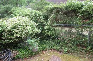 [Address not provided], Niceville, FL 32578 - Photo 44