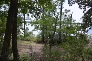 [Address not provided], Niceville, FL 32578 - Photo 58