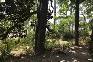 [Address not provided], Niceville, FL 32578 - Photo 50