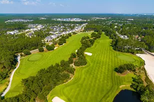 253 Windrow Way, Watersound, FL 32461 - Photo 44