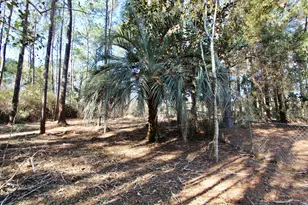 5846 E Dog Wood Dr E, Crestview, FL 32539 - Photo 28