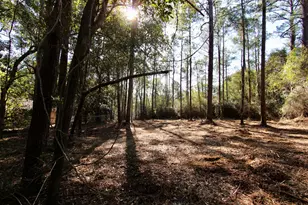 5846 E Dog Wood Dr E, Crestview, FL 32539 - Photo 30