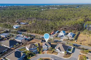 26 Palmview Ln, Santa Rosa Beach, FL 32459 - Photo 46