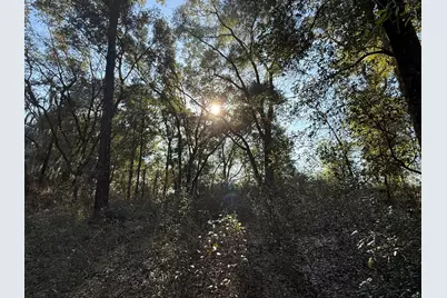 6695 Hwy 77, Chipley, FL 32428 - Photo 10