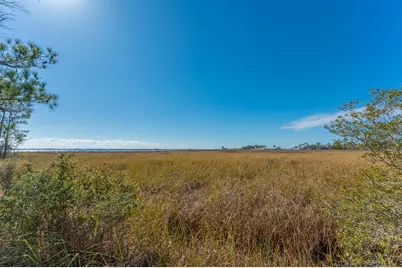 90 Acres Highway 331 S & Jolly Bay Road, Freeport, FL 32439 - Photo 24