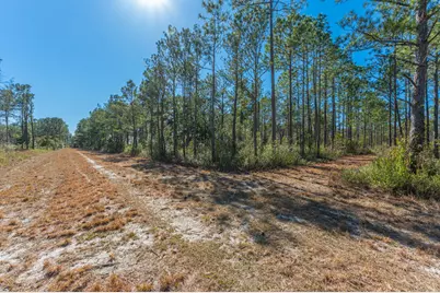 90 Acres Highway 331 S & Jolly Bay Road, Freeport, FL 32439 - Photo 44