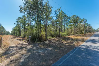 90 Acres Highway 331 S & Jolly Bay Road, Freeport, FL 32439 - Photo 40