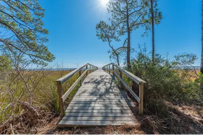 90 Acres Highway 331 S & Jolly Bay Road, Freeport, FL 32439 - Photo 26