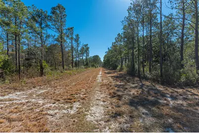 90 Acres Highway 331 S & Jolly Bay Road, Freeport, FL 32439 - Photo 46