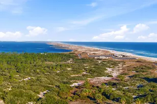 831 Sailfish Ct, Perdido Key, FL 32507 - Photo 60