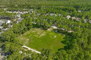 304 Windrow Way, Inlet Beach, FL 32461 - Photo 70