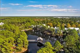 113 N Nickajack N, Santa Rosa Beach, FL 32459 - Photo 76