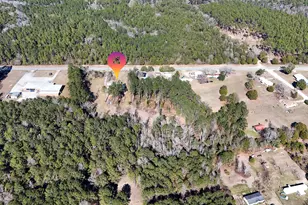 25188 Fifth Ave, Florala, AL 36442 - Photo 34