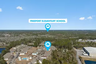 10 Sandywoods Ct, Freeport, FL 32439 - Photo 48