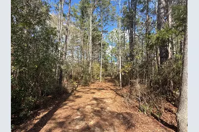 10 Sandywoods Court, Freeport, FL 32439 - Photo 10