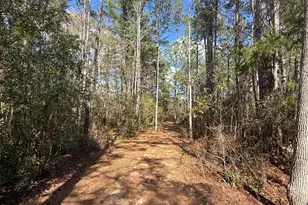 10 Sandywoods Ct, Freeport, FL 32439 - Photo 10