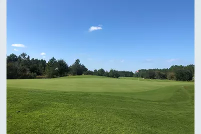 117 Roundwood Drive, Watersound, FL 32461 - Photo 26