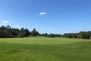 117 Roundwood Dr, Watersound, FL 32461 - Photo 26