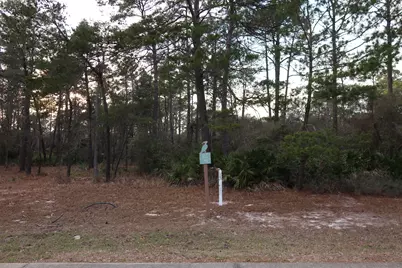 1407 Turtleback Trail, Panama City Beach, FL 32413 - Photo 8